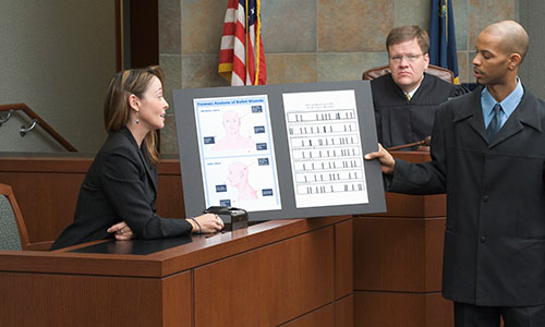 Courtroom Exhibits
