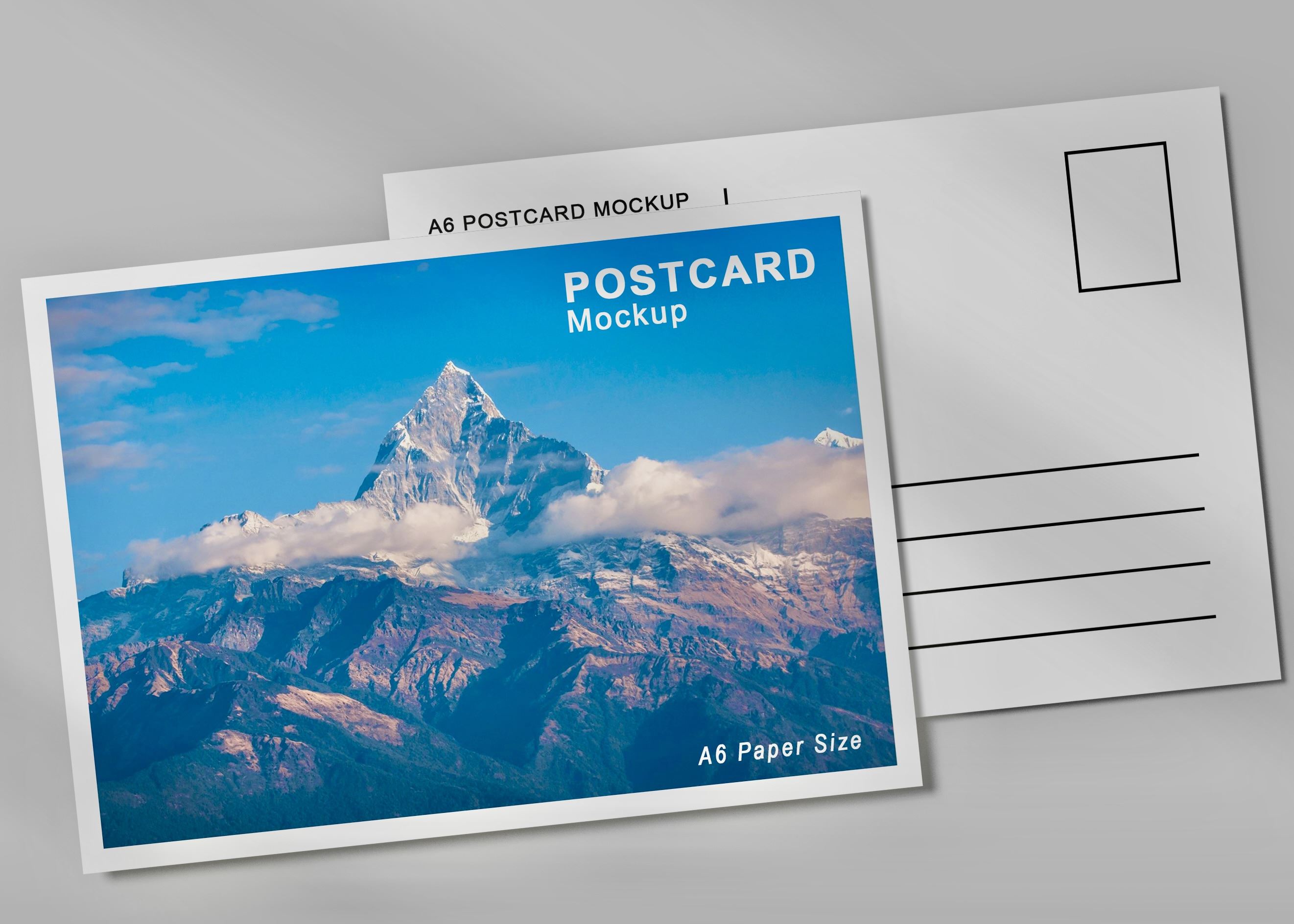 Mailer service Tampa