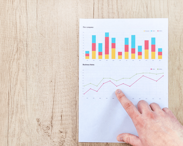 Printed example of an annual report